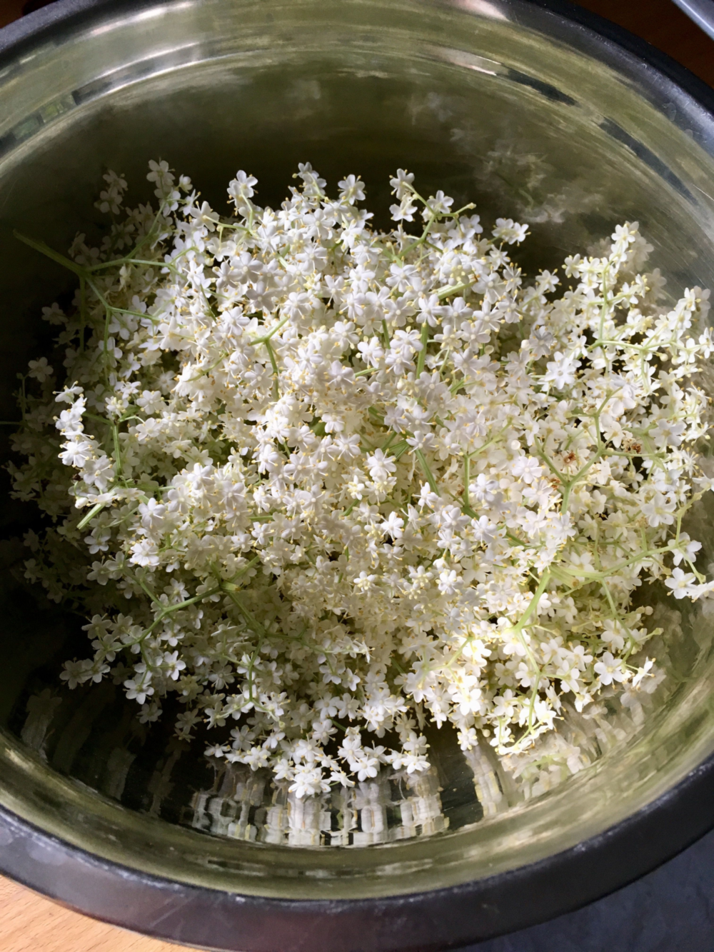 エルダーフラワーの季節〜Elderflower Harvest〜